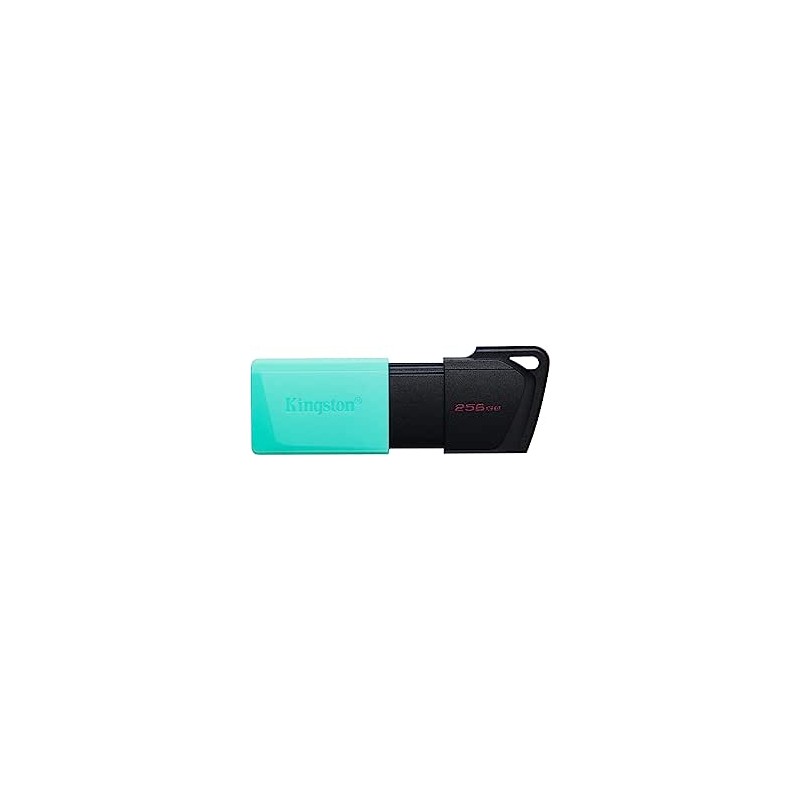 PENDRIVE KINGSTON USB 3.2 DataTraveler Exodia M 256GB